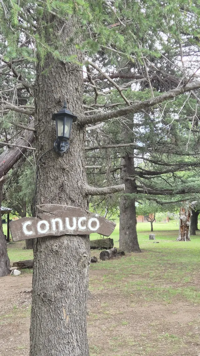 Cabañas Conuco - Foto